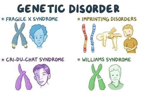 Chromosomal Disorders Structure Classification And Types Of