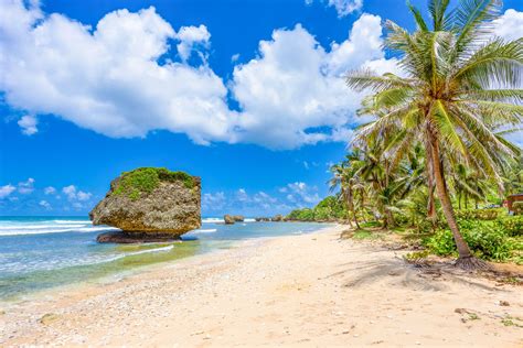 56 Adventurous And Fun Things To Do In Barbados Sandals