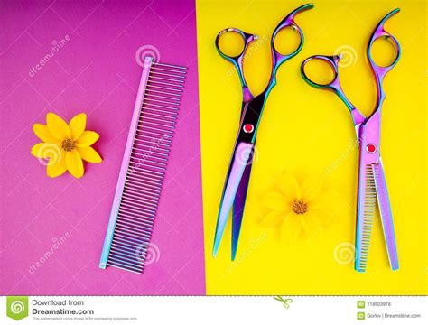 hairstyle tools scissors studio quality stock photo image