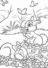 Ausmalbilder Hasen Auf Dekoking Hase Ausmalbild Ausmalen Frühling Ausdrucken Und Disney Gemerkt Von Kinder sketch template