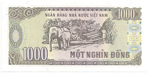 vietnam  dong  banknotes