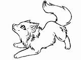 Wolf Coloring Pages Baby Anime Cute Drawing Wolves Colouring Kids Color Chibi Printable Drawings Awesome Sketch Clipart Pertaining Print Body sketch template