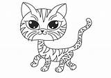 Kitten Preschool Kittens Procoloring sketch template