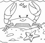 Crab Coloring Hermit Pages Getcolorings sketch template