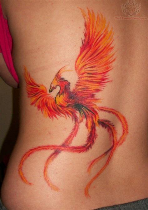 phoenix bird tail tattoo