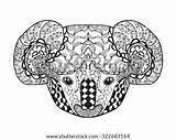 Coloring Adult Animal Koala Zentangle Head Doodle Antistress Sketch Tattoo Patterned Vector Hand Tribal Shirt Drawn Stock Ethnic Pages Stylized sketch template