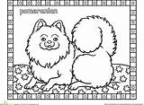 Pomeranian Coloring Pages Dog Color Puppies Cat Book sketch template