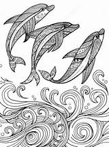 Dolphin Mandalas Zentangle Mandala Dolphins Delfin Delfines Olas Drawn Páginas Manos Dibujados Tiere Patterns Pinnwand Auswählen Lapiz Dibujar Diseños sketch template