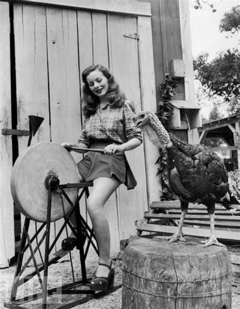16 Hilarious And Bizarre Vintage Thanksgiving Pinups ~ Vintage Everyday