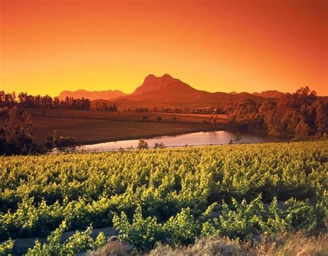 stellenbosch franschhoek  paarl valley wine day trip  cape town
