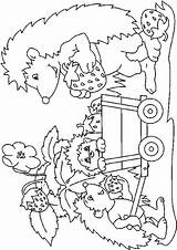 Egels Kleurplaat Stemmen Hedgehogs sketch template