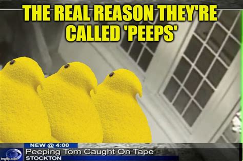 Easter Peeps Memes Momsegy