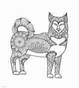 Coloring Pages Adult Printable Adults Animal Dog Animals Lover Book Print Look Other Sheets sketch template