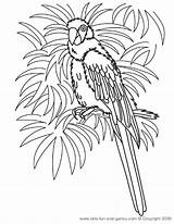 Coloring Pages Hawaiian Macaw Printable Hawaii Kids Parrot Sheets Birds Luau Print Bird Colouring Color Fun Games Adults Adult Theme sketch template