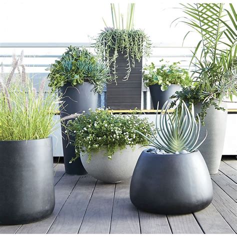review   large plants  outdoor planters references