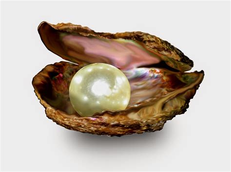 pearls folklore  healing properties pearlsonly save