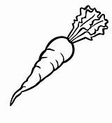 Carrot Coloring Pages Printable Categories A4 Kids sketch template