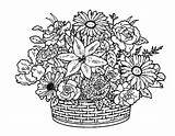 Coloring Flowers Pages Flower Basket Collections Print Button Using Color Grab Welcome Also Kids Size sketch template