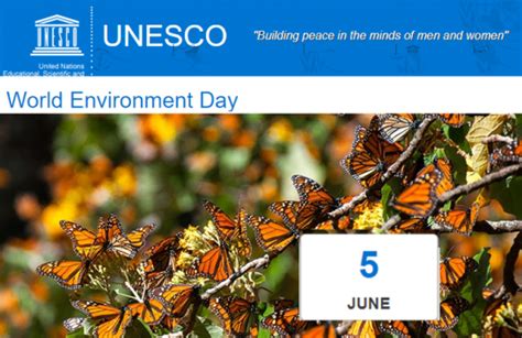 unesco environment day you stiftung