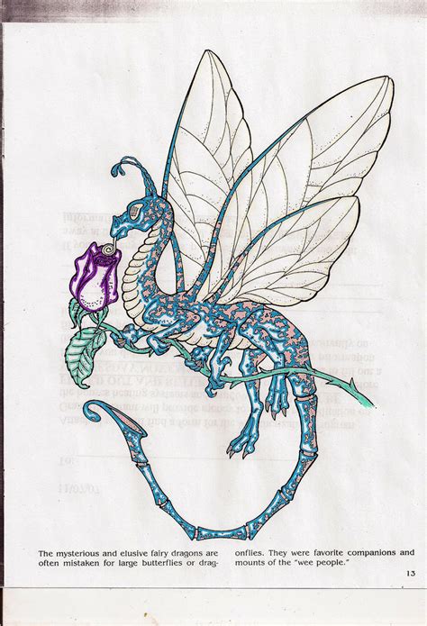 fairy dragon  coloring page   phoenix  deviantart