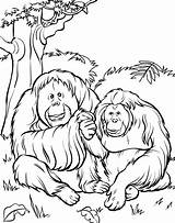 Zoo Coloring Animals Pages Printable Kids sketch template