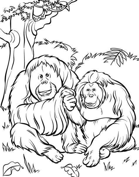 animal coloring book pages coloring home