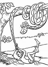 Pages Kaa Mowgli Ausmalbilder Mogli Ausmalbild Dschungelbuch Getdrawings Coloringhome Ausdrucken Ausmalen Malvorlagen Kolorowankidowydruku Eu Schlangen 4kids Tisch Arbeit Zeichnen Kindern sketch template