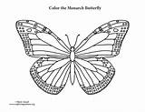 Butterfly Monarch Coloring Pages Drawing Line Outline Getcolorings Printable Color Print Getdrawings Paintingvalley Popular sketch template