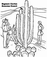 Desert Coloring Pages Cactus Sahara Sonoran Ecosystem Biome Getdrawings Drawing Getcolorings Colori sketch template