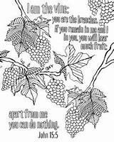Branches Bible Wisteria sketch template