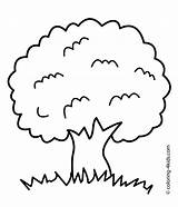 Tree Coloring Pages Kids Clipart Simple Roots Apple Family Color Printable Birthday Children Template Nature Leafless Clipartbest Spring Club Library sketch template