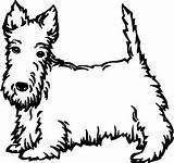 Coloring Scottie Dog Scottish Terrier Pages Template Outline Kids Templates Drawings Dogs Colouring Lined Hairy Dark sketch template