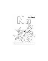 Coloring Nn Letter Printable Pages Nest Ha sketch template