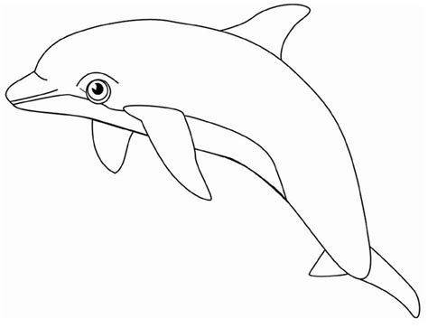 dolphin jumps  good coloring pages  kids bwm printable