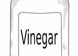 Vinegar sketch template