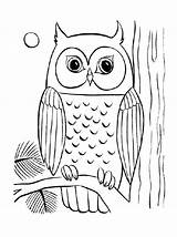 Owl Coloringhome Getdrawings Bestappsforkids Getcolorings sketch template