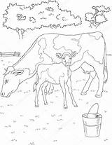 Coloring Calf Vache Veau Vaca Bezerro Depositphotos Matreshka sketch template