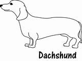 Dog Wiener Drawing Coloring Weiner Pages Paintingvalley Dachshund Drawings sketch template