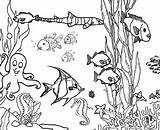 Coloring Ocean Pages Reef Fish Coral Aquarium Ecosystem Drawing Plants Marine Sea Printable Underwater Floor Barrier Great Clipart Print Hidden sketch template