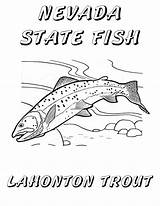 Coloring Trout Pages Lake Tahoe Nevada State Fish Book Cutthroat Brook Getcolorings Designlooter Choose Board Sketch Getdrawings 51kb 3300px 2550 sketch template