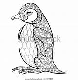 Ausmalbilder Zentangle Ausmalen Pinguine Pinguin Malvorlagen Illustartion sketch template