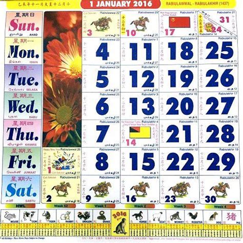 calendar kuda  malaysia   calendar  update