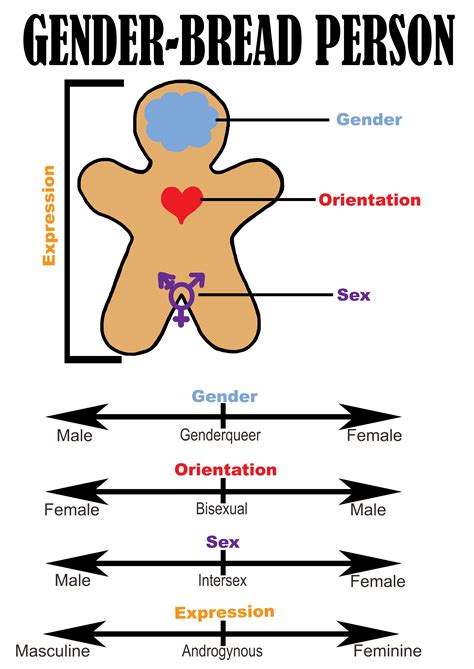 Gender Sex Orientation Expression Wwda Youth Network