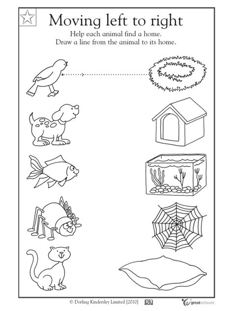 animals  kindergarten