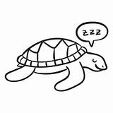 Tortuga Turtle Contorno Sleeping Tartaruga Marinha Durmiendo Dormir Dormindo Marinas Tortugas Frontal Sorrindo Vexels sketch template