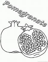 Pomegranate Pomegranates sketch template
