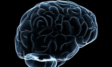 scientists threaten  boycott bn human brain project science