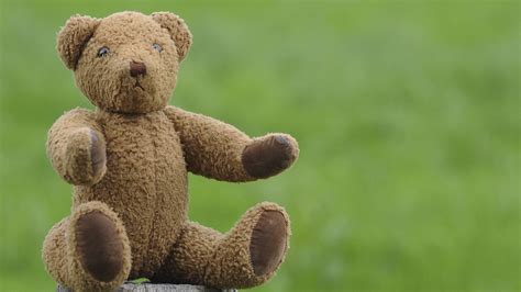 burglar nabbed after having sex with teddy bear and leaving dna