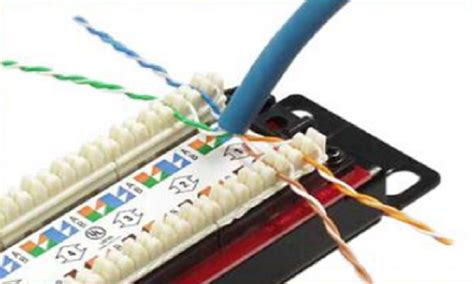 cate wiring cate patch panel wiring   wire  patch panel fs community