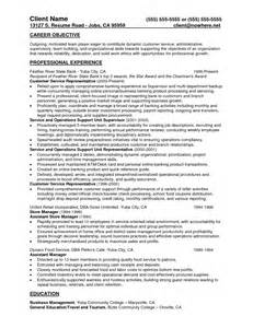 Sample resume with project description